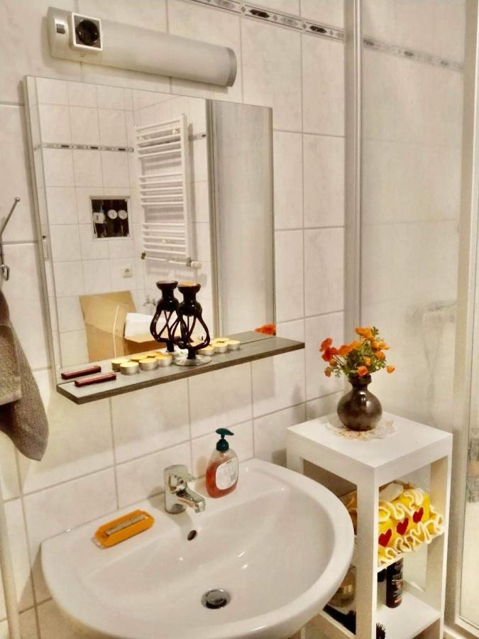 Ferienzimmer Healing Und Montuerwohnung Weißenfels エクステリア 写真