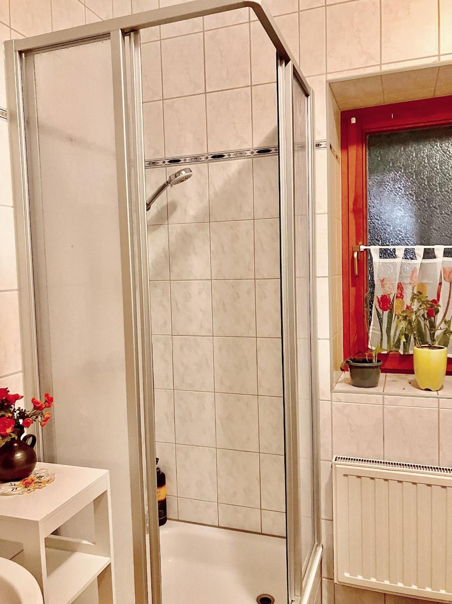 Ferienzimmer Healing Und Montuerwohnung Weißenfels エクステリア 写真