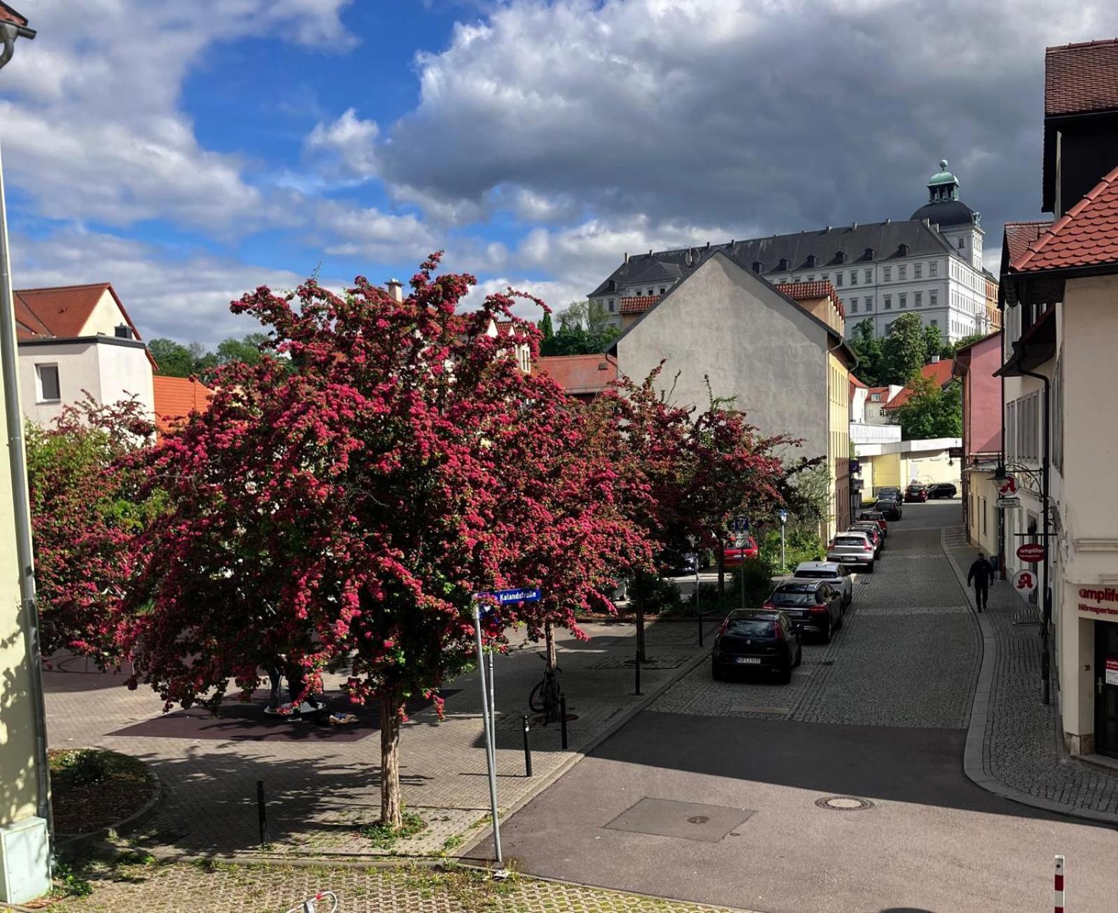Ferienzimmer Healing Und Montuerwohnung Weißenfels エクステリア 写真
